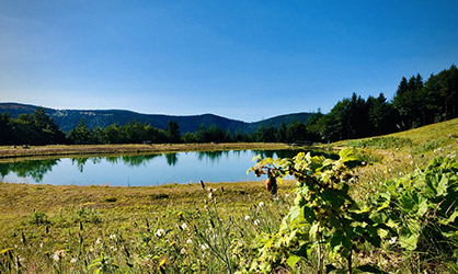 Lac de la Schnepf