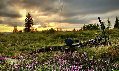 Escapade en VTT