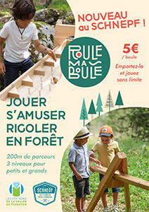 Plaquette de l'activité Roule ma boule du Schnepf