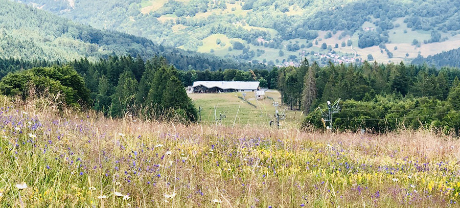 Randonnées au tour du Schnepf