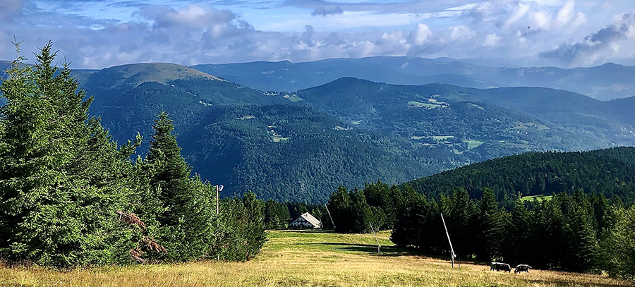 Station au coeur des Vosges, le Schnepf