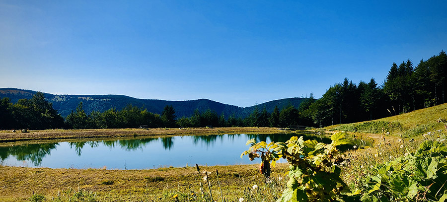 Lac